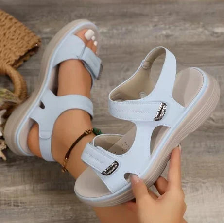 Light Blue / 2