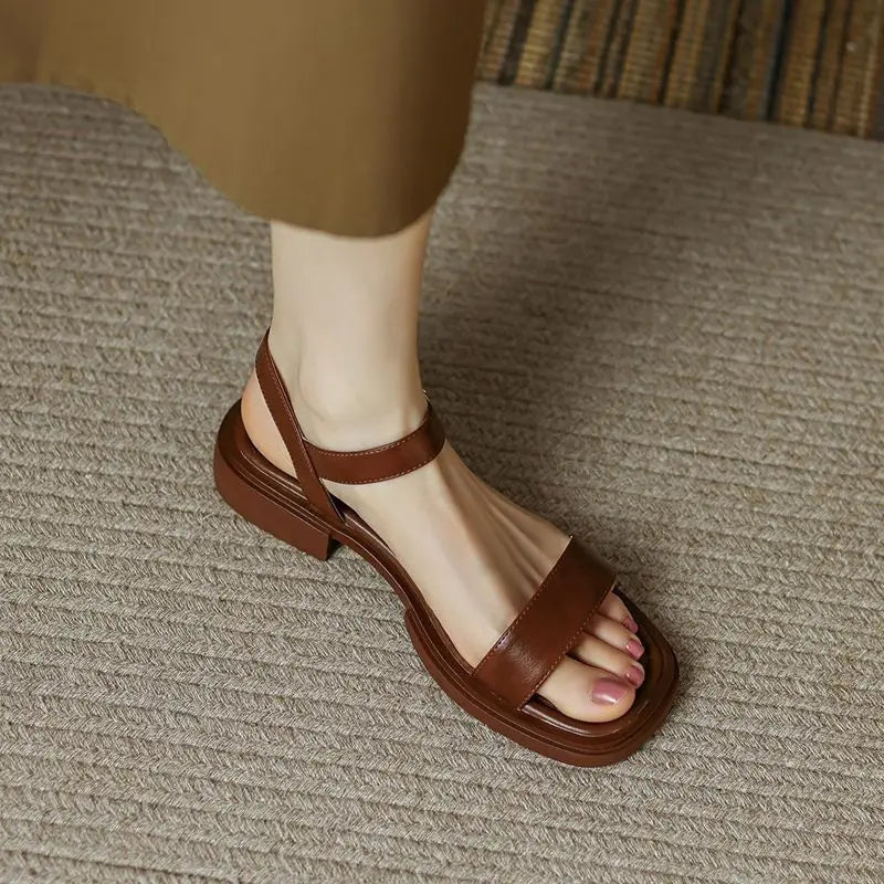 Brown / 2